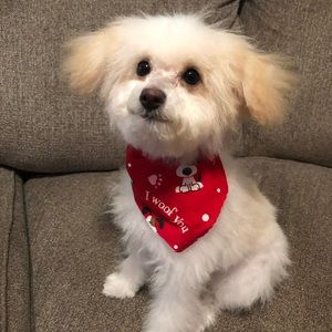 Meet your Posher, Jillian